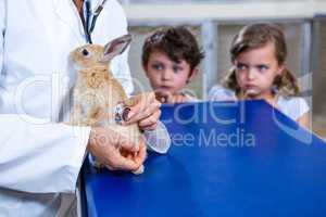 Vet taking care of a rabbit while two children