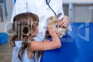Little girl petting a rabbit in the vet office