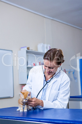 A woman vet taking care of a cute cat
