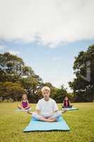 Portrait of a young boy doing yoga with other children