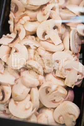 View of several mushrooms gathering together