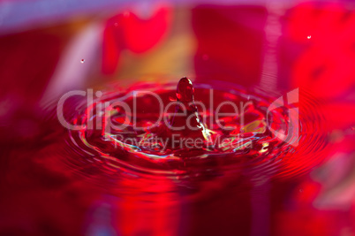 Macro photo of water drops falling into a pool of water, causing a splash and ripples.