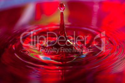 Macro photo of water drops falling into a pool of water, causing a splash and ripples.