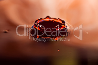 Macro photo of water drops falling into a pool of water, causing a splash and ripples.