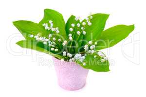 lilies of the valley isolated on white background