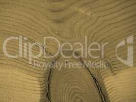 Larch wood background sepia