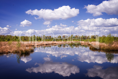 moor landscape