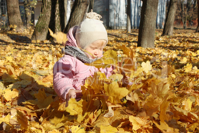 baby plays with Autumn leaves in the park