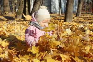 baby plays with Autumn leaves in the park