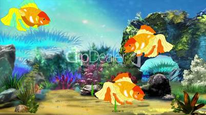 Aquarium Goldfish