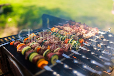Meat and vegetable skewers on grill in nature