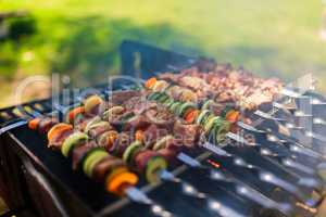 Meat and vegetable skewers on grill in nature