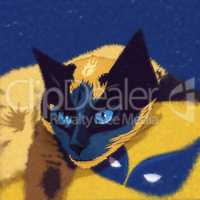 Cats superheroes. Wolverine