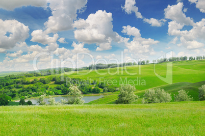 picturesque green field and blue sky