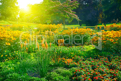 Multicolored flowerbed in park