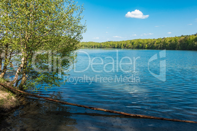 Landschaft am Liebnitzsee bei Wandlitz