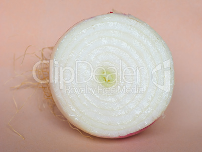Onion vegetable sliced