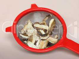 Porcini mushroom in colander