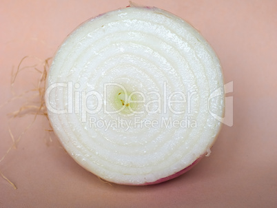 Onion vegetable sliced