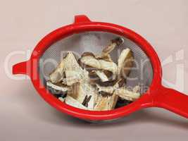 Porcini mushroom in colander