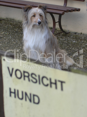 Vorsicht Hund