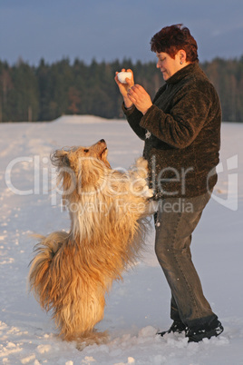 Mischlingshund im Schnee