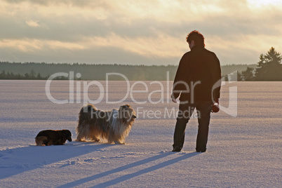 Mischlingshund und Dackel im Schnee