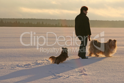 Mischlingshund und Dackel im Schnee