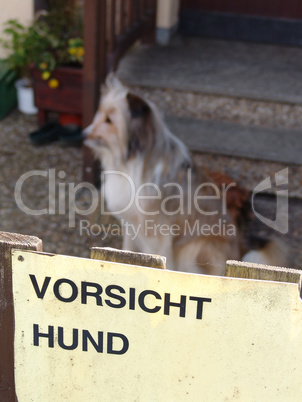Vorsicht Hund Vorsicht Hund