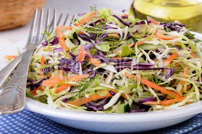 salad of red and white cabbage