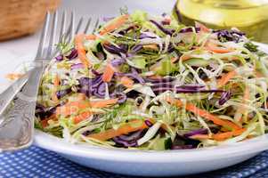 salad of red and white cabbage
