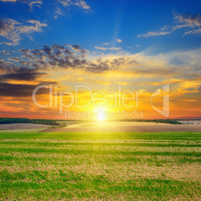 field, sunrise and blue sky