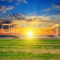 field, sunrise and blue sky