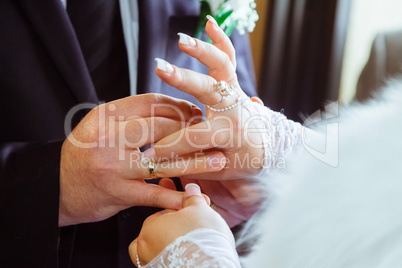 Closeup Hands of a Couple Held Together  Focus on Ring.