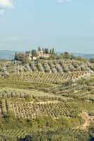 Fields in Tuscany