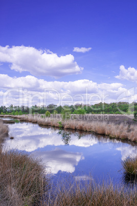 moor landscape