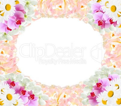 frame from different flowers orchids tulips camomile