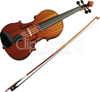 Violin vector illustration on a white background