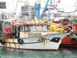 Fischkutter bei Kusadasi, Türkei