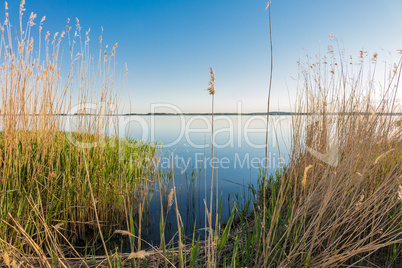 Landschaft am Achterwasser auf der Insel Usedom