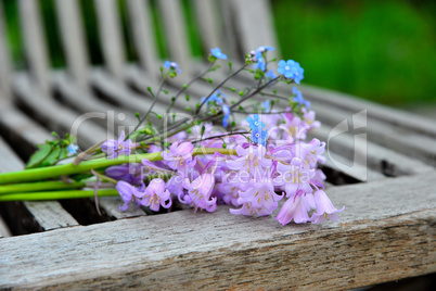 Blumen auf einem Gartenstuhl im Frühling