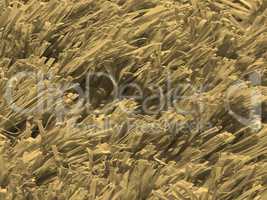 Artificial meadow sepia