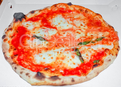 Pizza Margherita