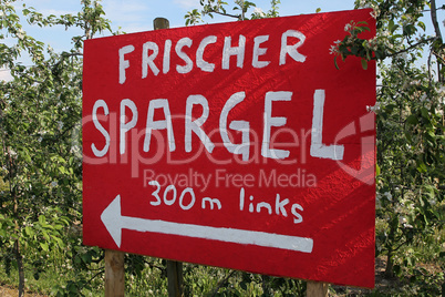 Schild frischer Spargel