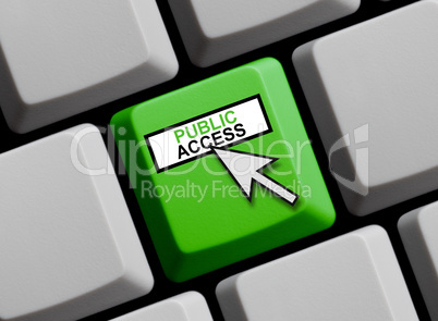 Public Access online