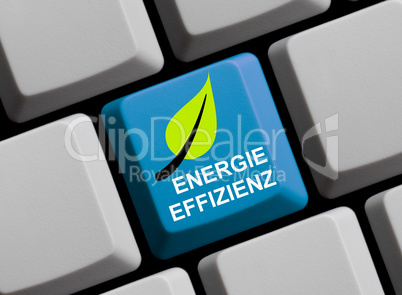 Energieeffizienz online