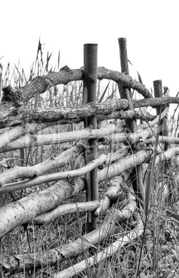 Decorative wicker fence