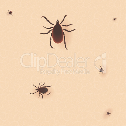 Encephalitis tick. Mite skin dust parasite vector icon illustration. Parasite silhouette. Bed bug Cimex lectularius on human skin.