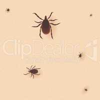 Encephalitis tick. Mite skin dust parasite vector icon illustration. Parasite silhouette. Bed bug Cimex lectularius on human skin.