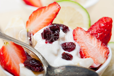 fruit and yogurt salad healthy breakfast